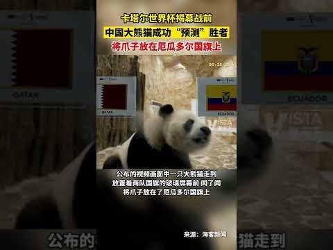 惊险开场,哈兰德,分钟内独造,PG电子平台,PG电子官方网站,PG电子登录入口,PG电子app下载