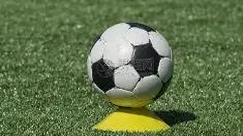 PG电子 产品 110653 95o